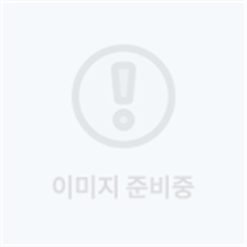 주차위반경고장(초강력) 260*190 / 황색 2000매 주문제작